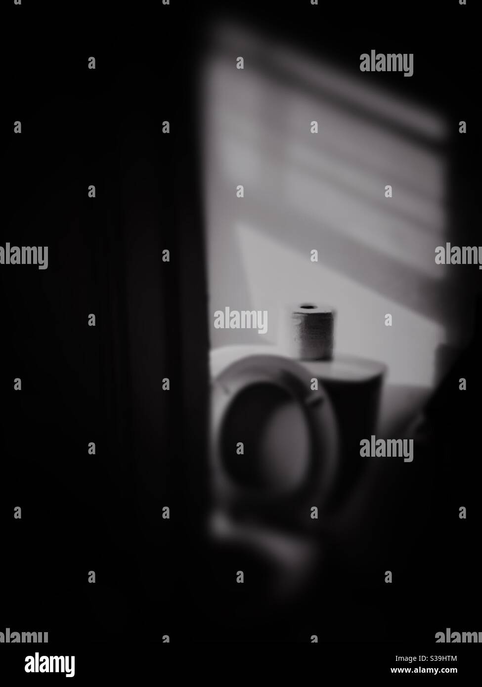 The toilet in black and white Stock Photo Alamy