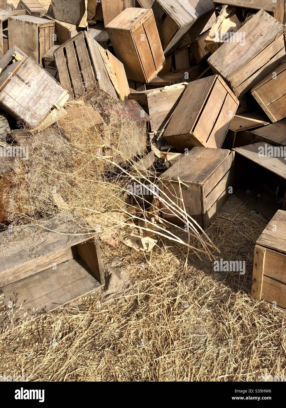 Apple boxes in a pile Stock Photo Alamy