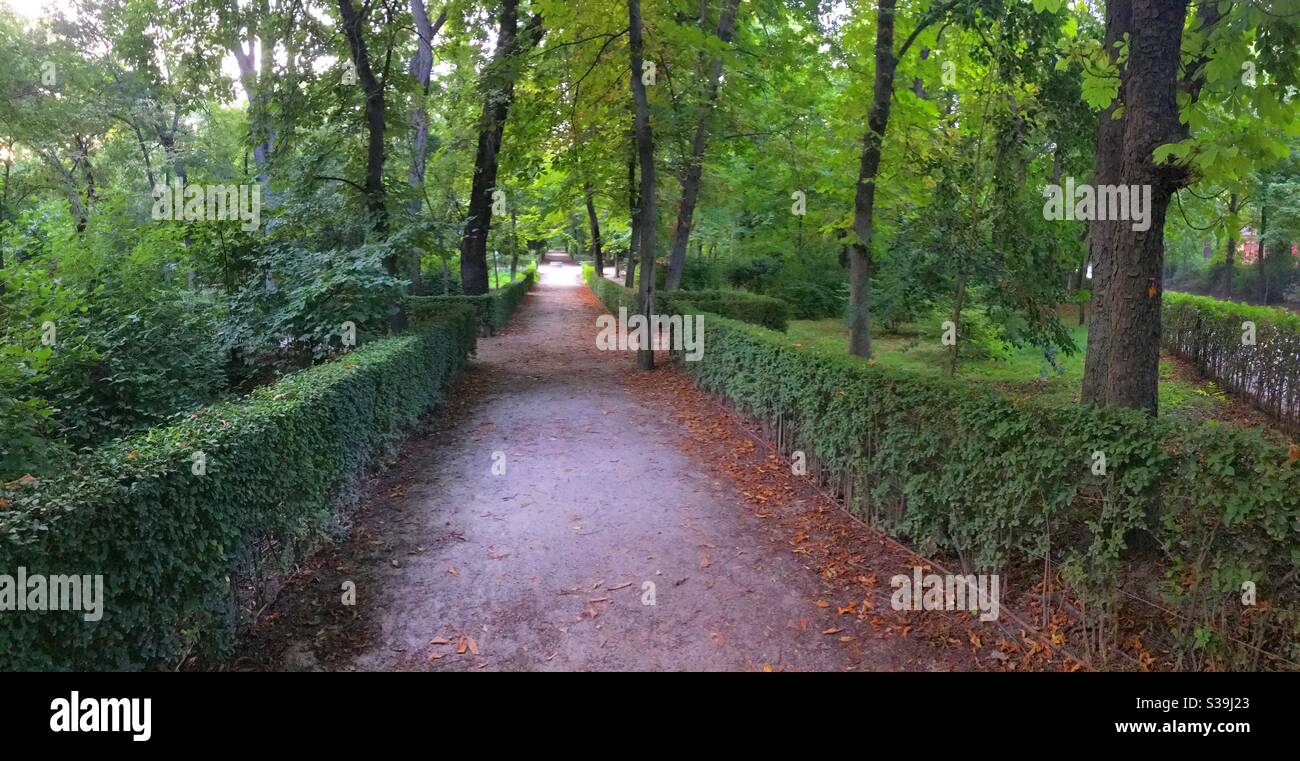 El Retiro Park. Madrid, Spain. - Smartphone Captured Stock Image
