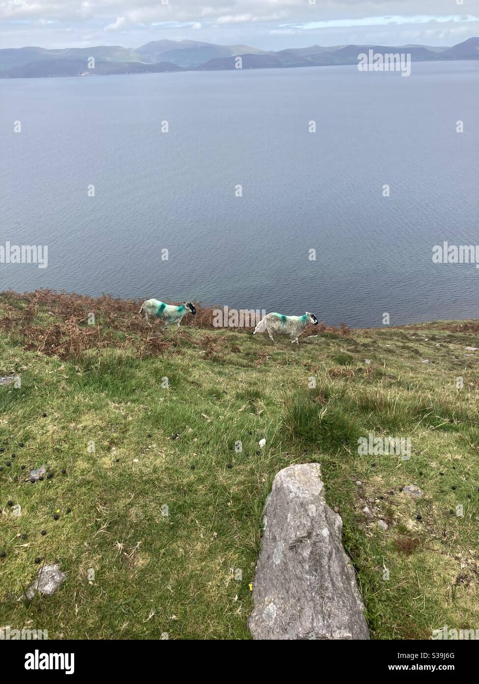 Glenbeigh hires stock photography and images Alamy