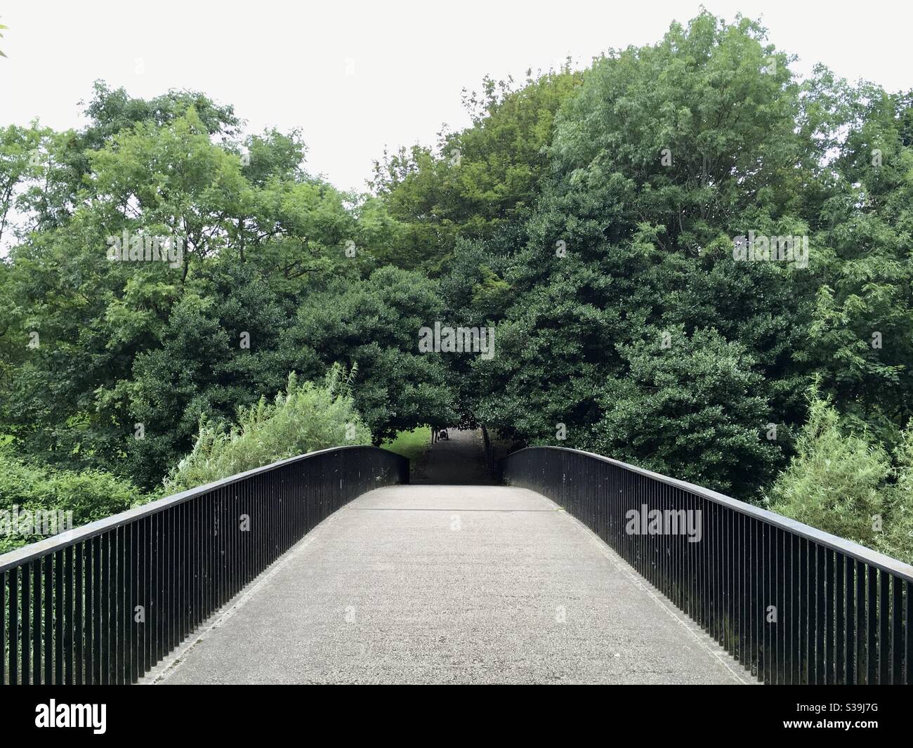Concrete bridge and dense tree crowns in a park in Glasgow Scotland Stock Photo