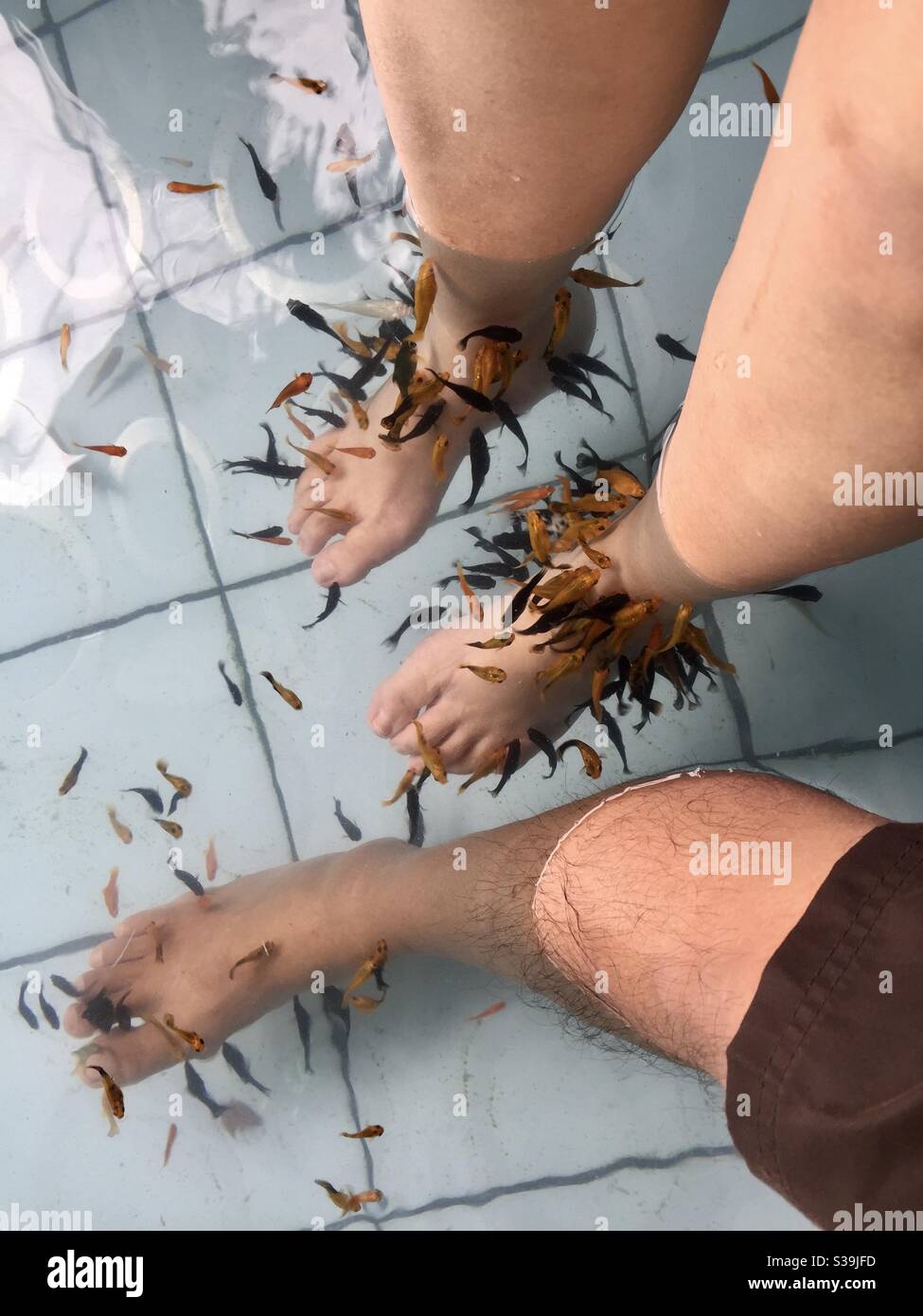 Fishes Cleaning Feet Soaked in Water Stock Photo