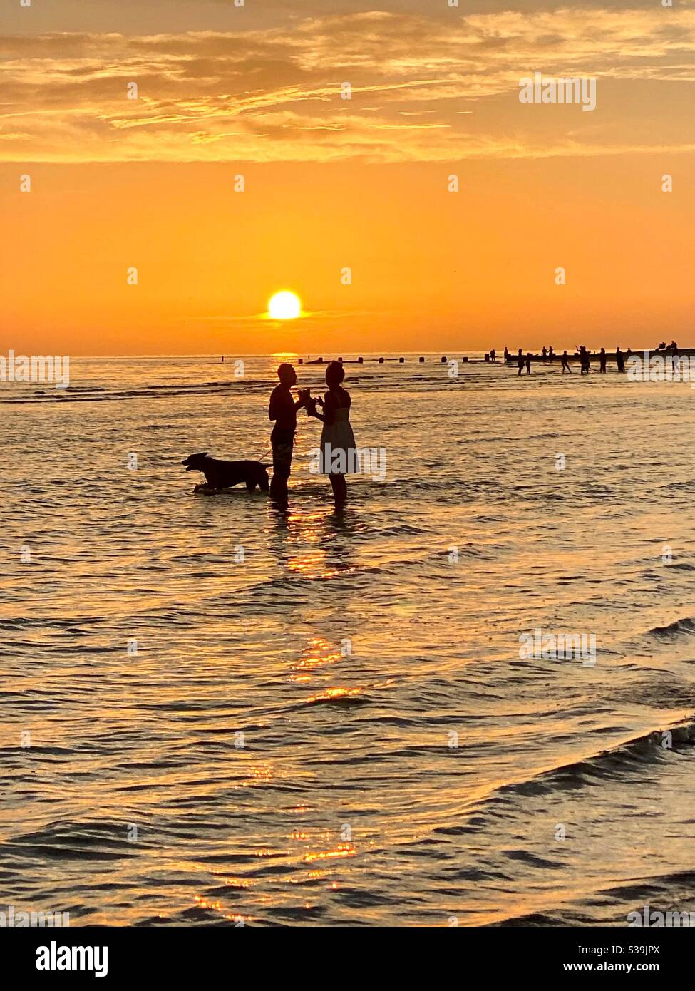 Couple with dog wading In the water at Sunset on honeymoon Island Beach