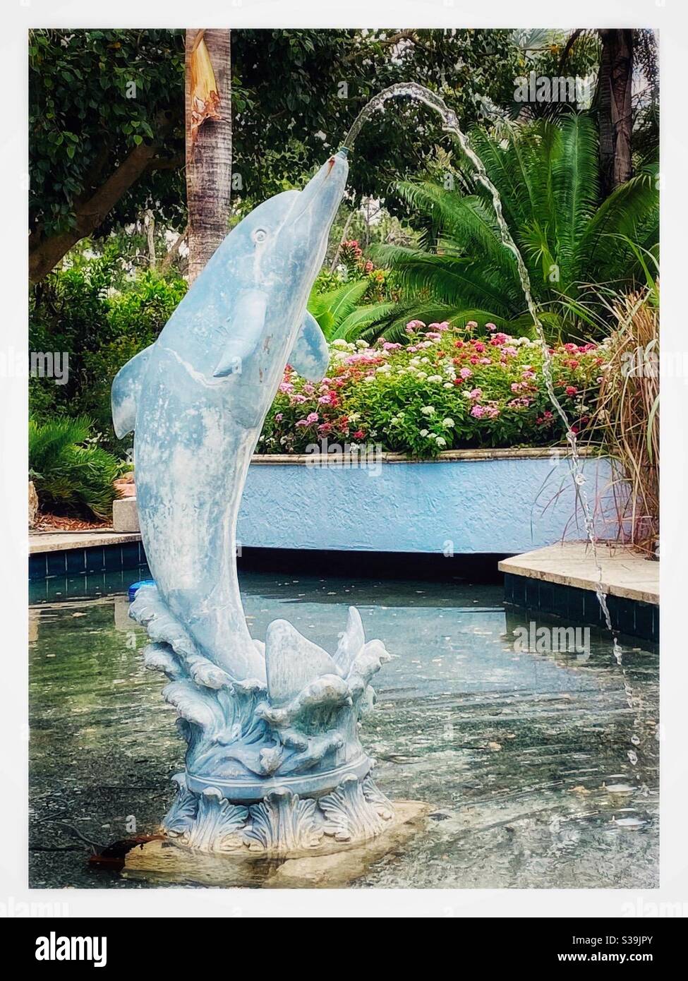 Dolphin water fountain In a nature park Pinellas county Florida Stock