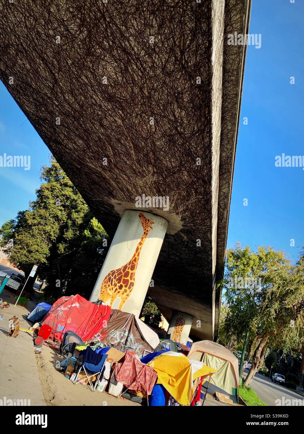One of the homeless camp spots with a dog around the painted giraffe ...