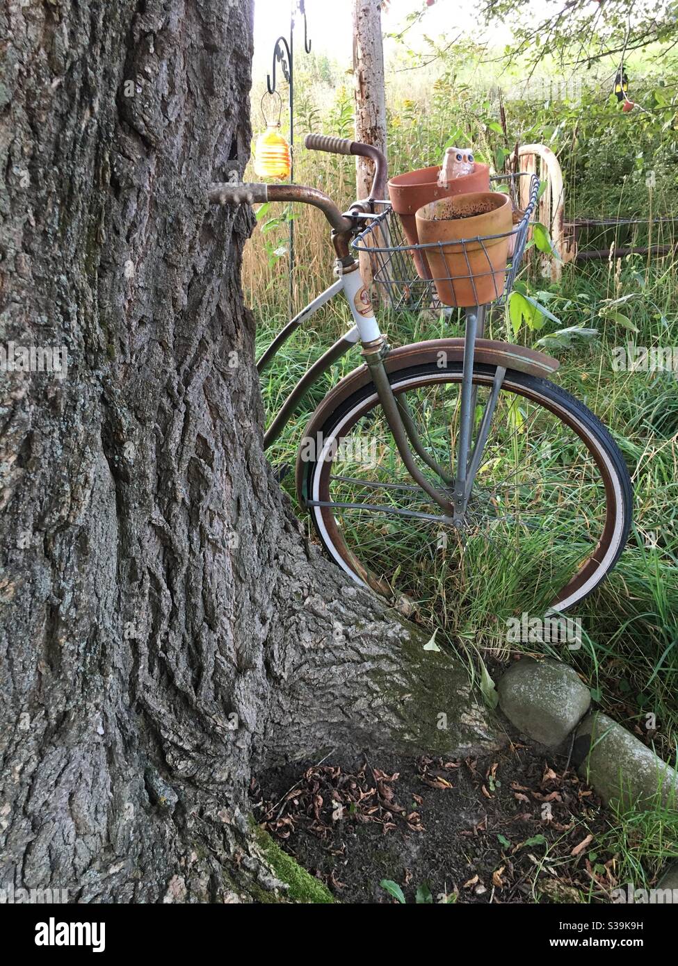 vintage bike with basket leaning on tree Stock Photo