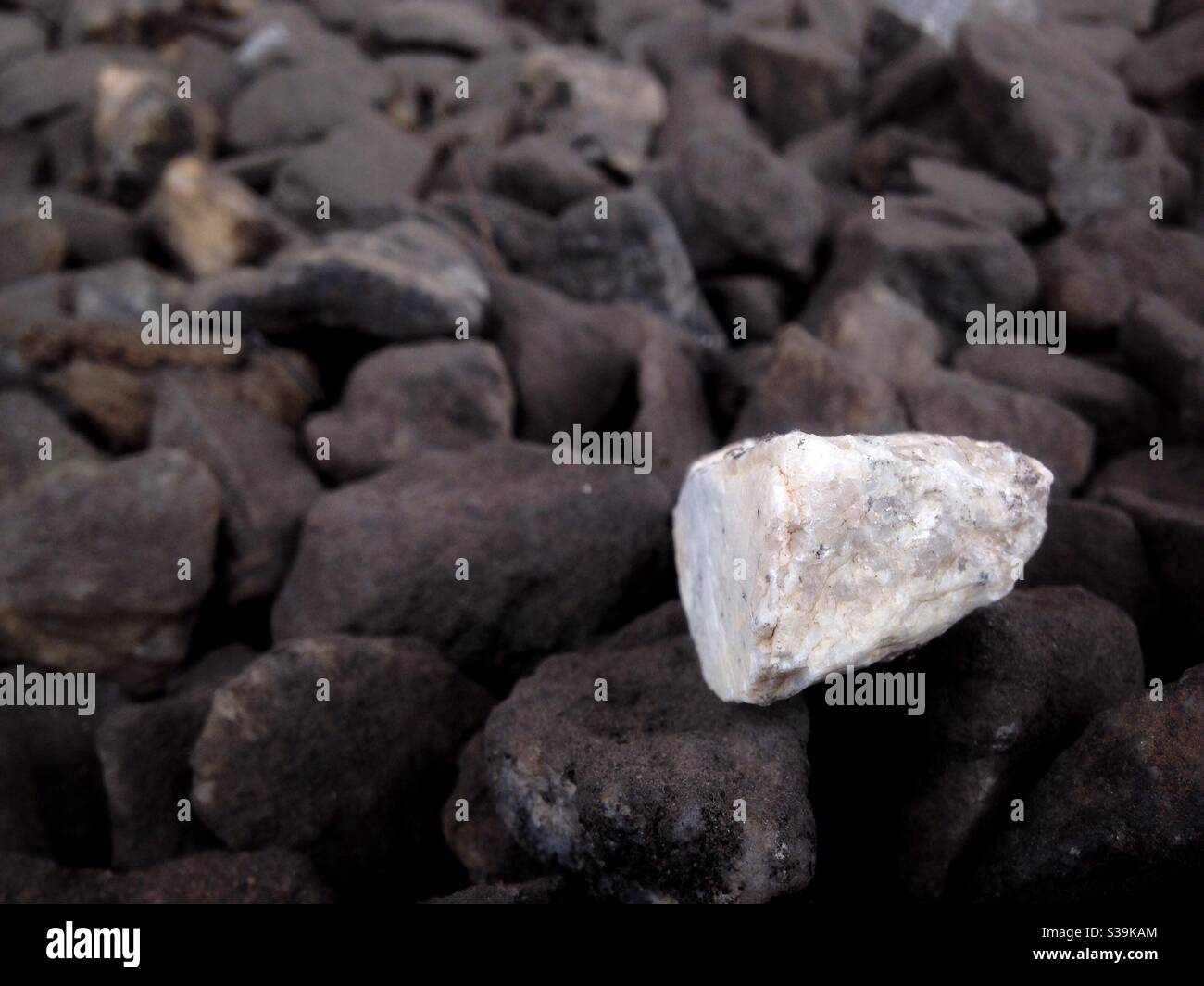 A white stone among black stones Stock Photo
