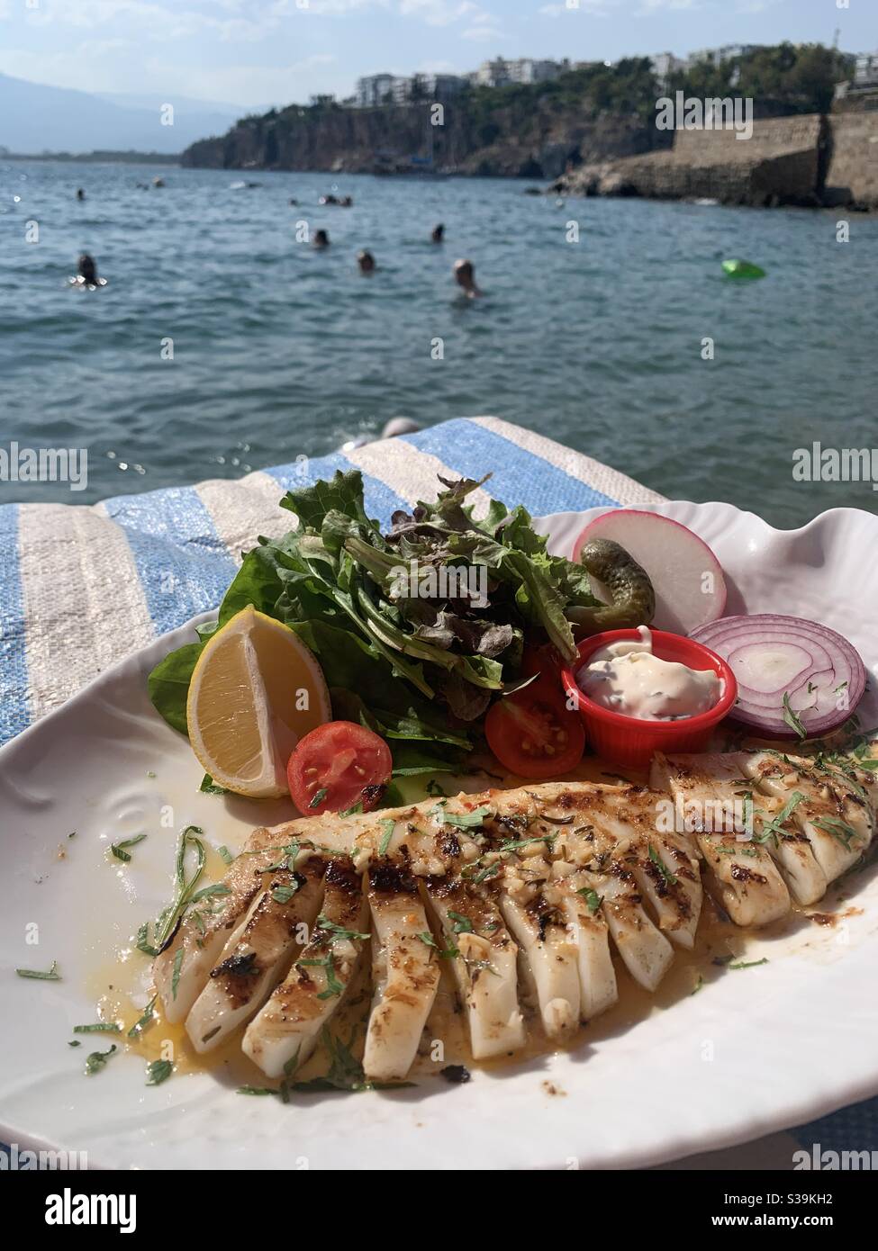 Plate of grilled calamari by the sea - Smartphone Captured Stock Image