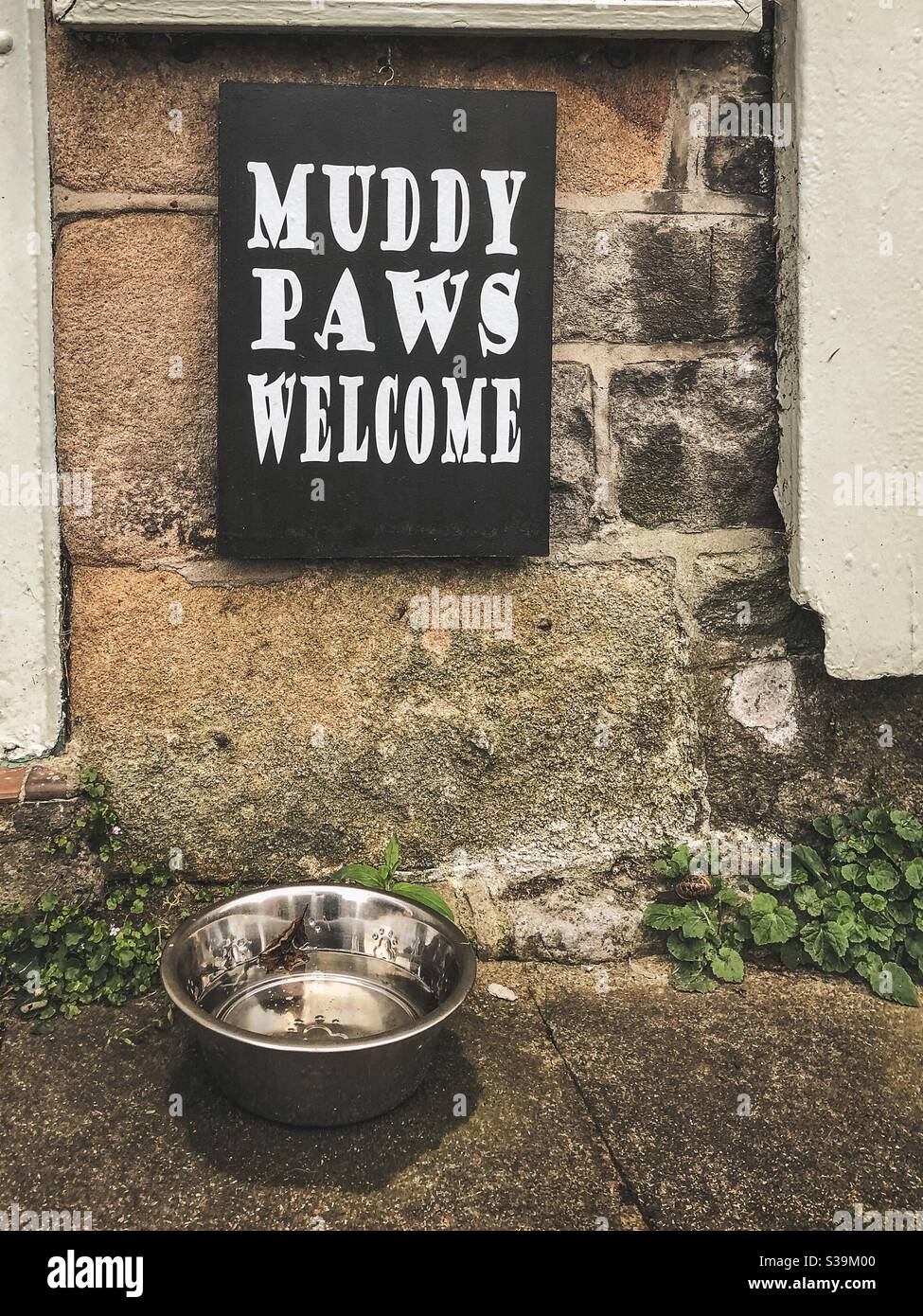Muddy paws welcome sign - Smartphone Captured Stock Image
