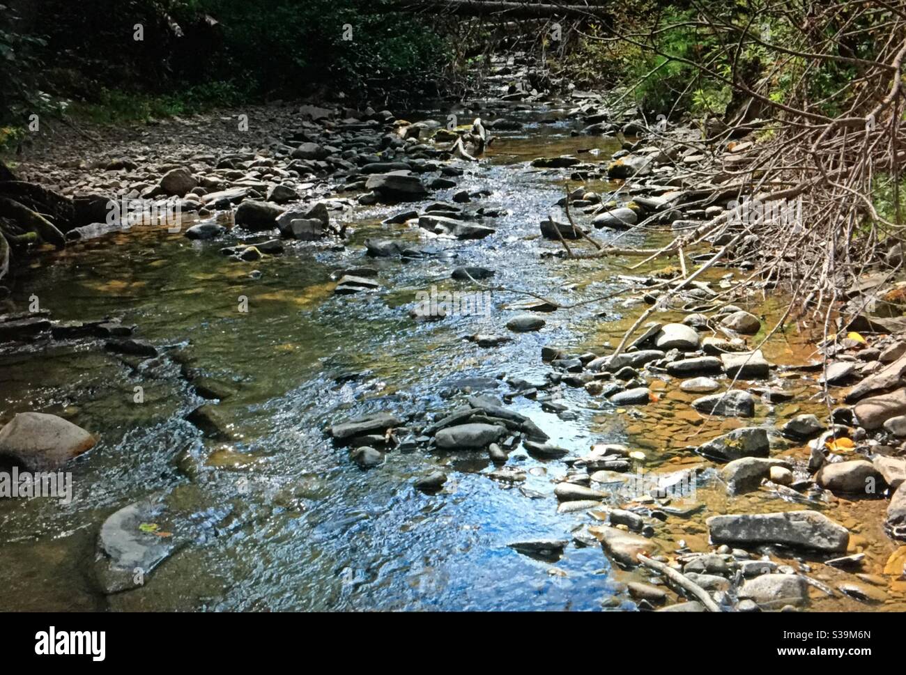 Bragg creek alberta hi-res stock photography and images - Alamy