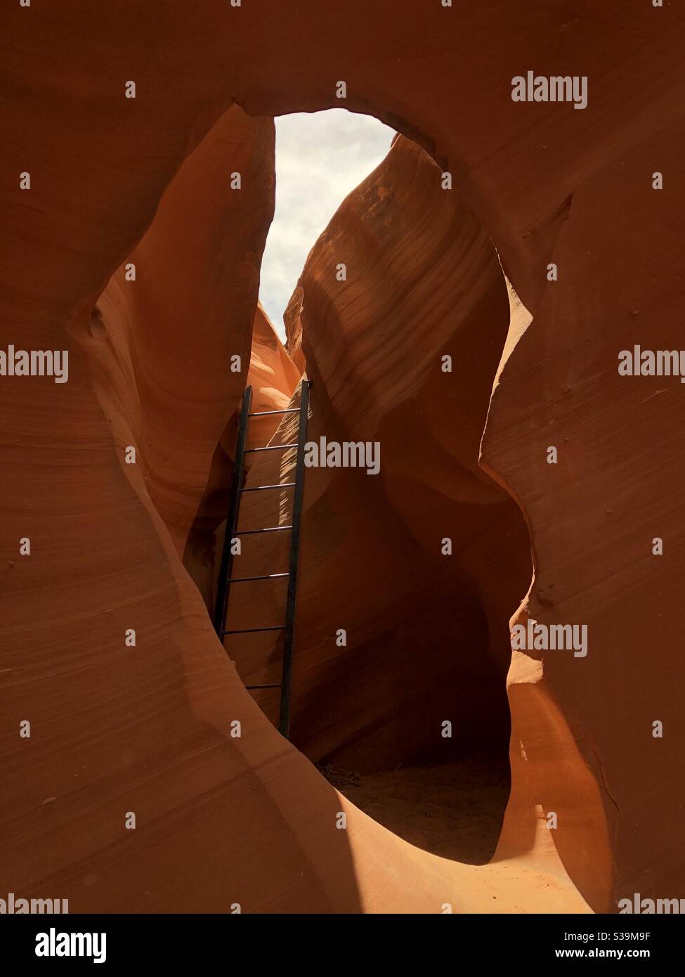 Ladder in Antelope Canyon, Arizona Stock Photo Alamy