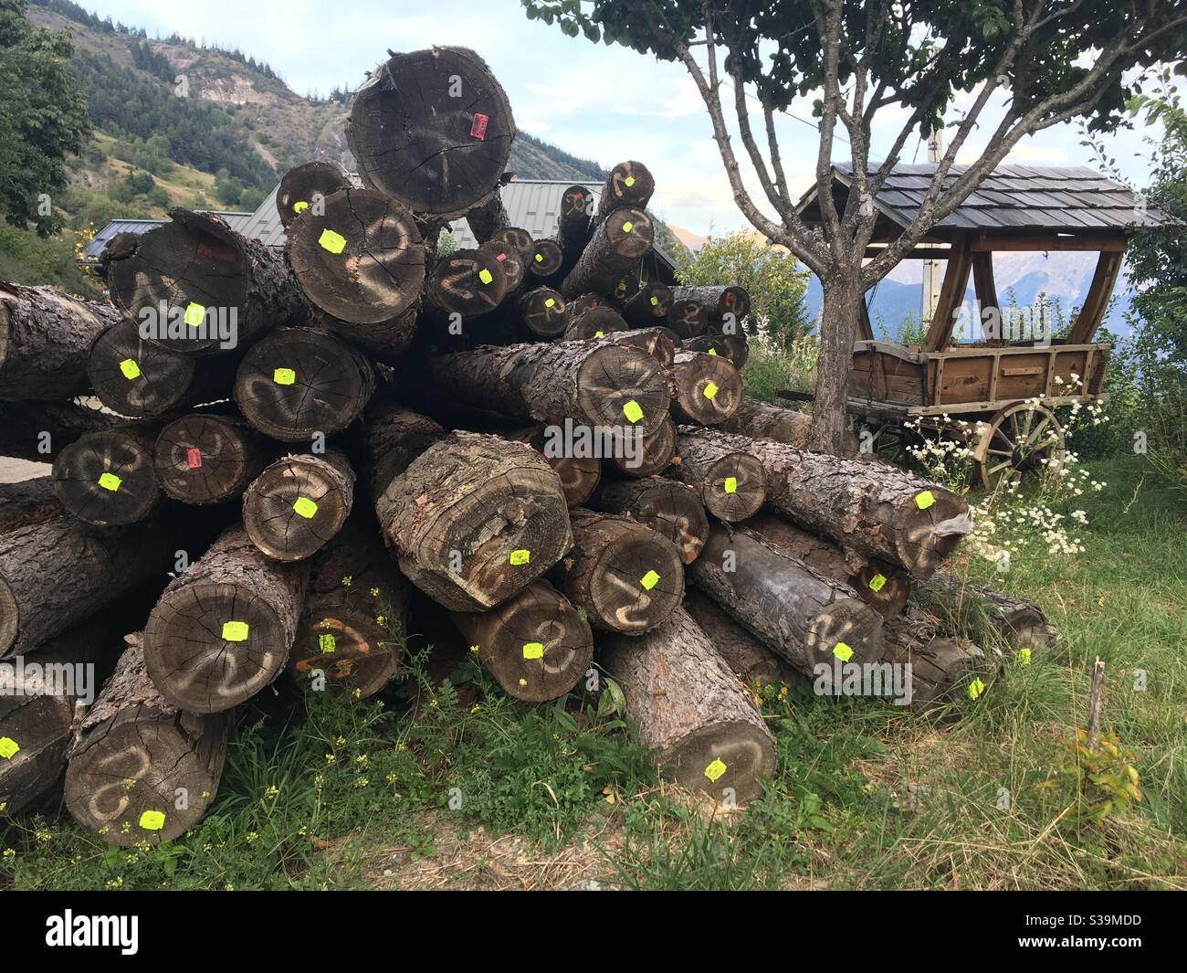 Wooden logs and trailer in Mountain Savoie Stock Photo