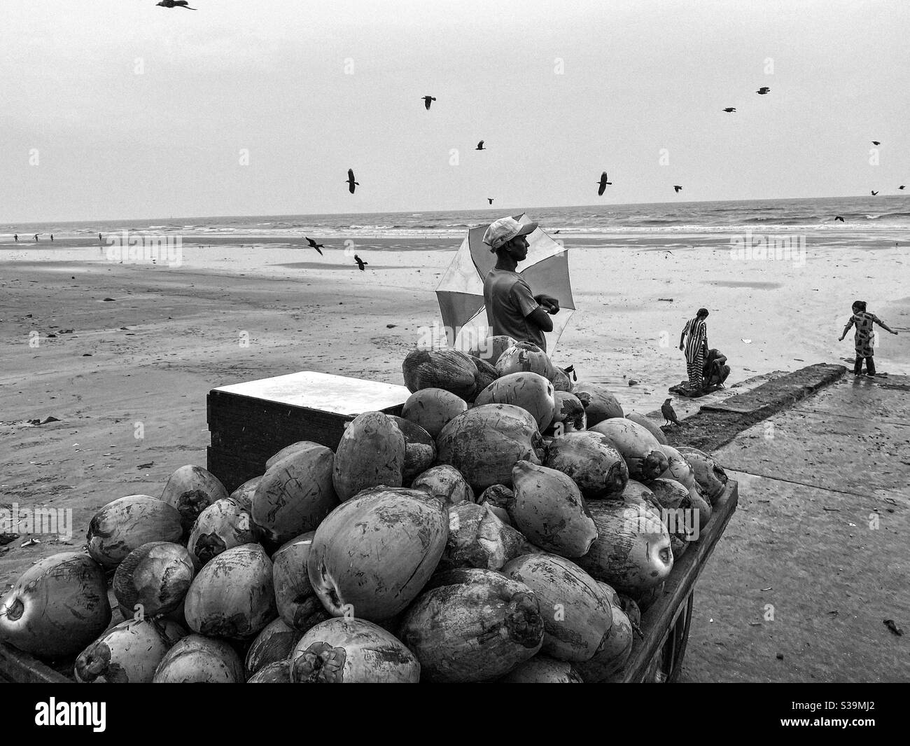 Coconut seller at beach of mumbai. - Smartphone Captured Stock Image