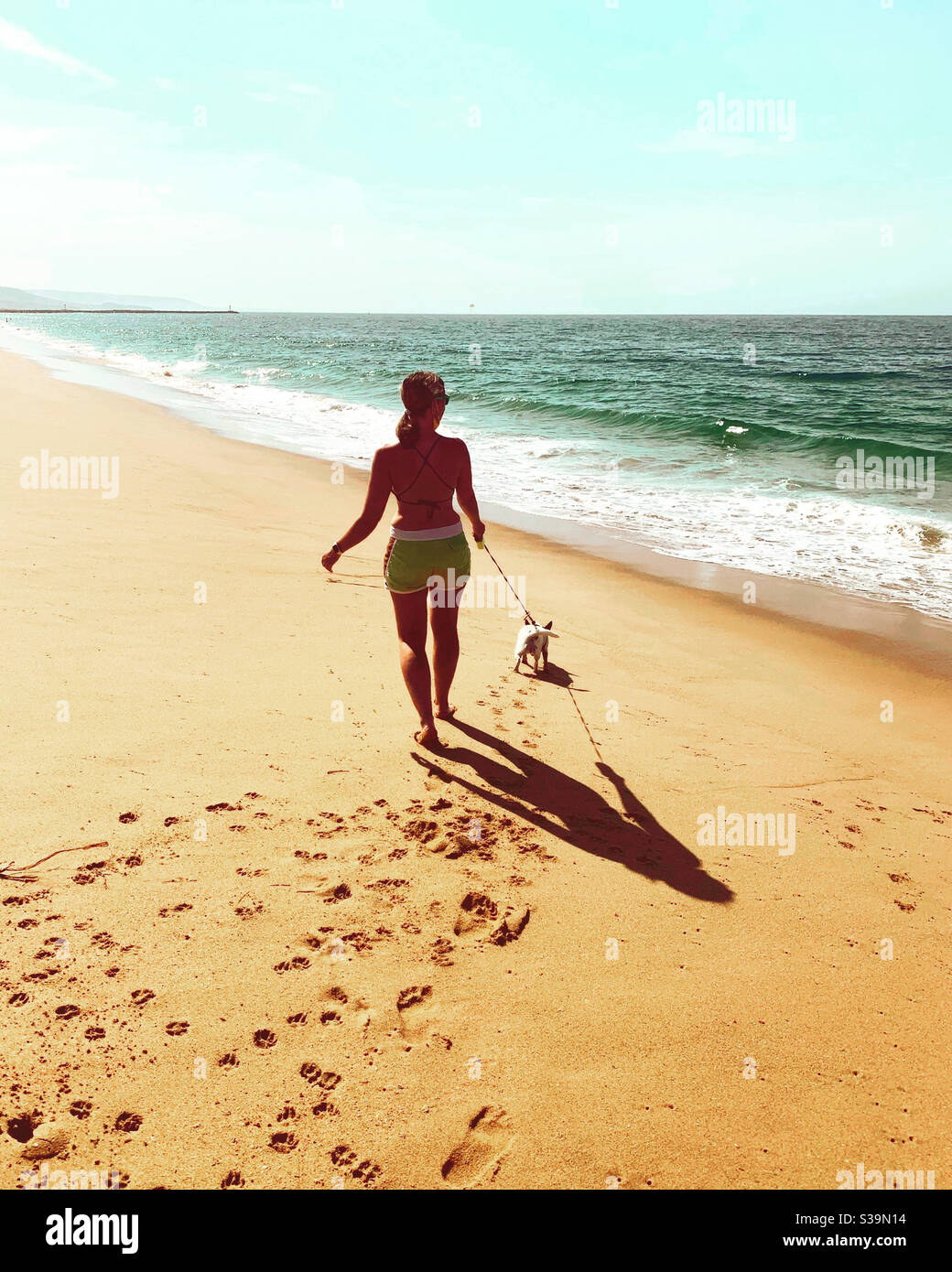 Woman photographed from behind walking small white dog on a sandy beach on a hot sunny day. - Smartphone Captured Stock Image