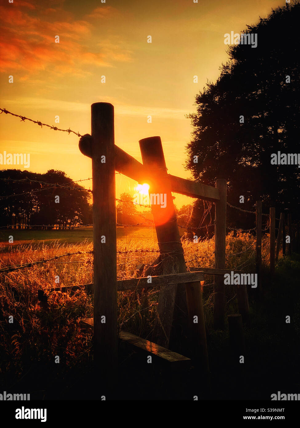 The warm setting sun helps backlight tall grass and provides atmosphere for an inviting rural scene. A view that needs to be walked through! Photo Credit - ©️ COLIN HOSKINS. - Smartphone Captured Stock Image