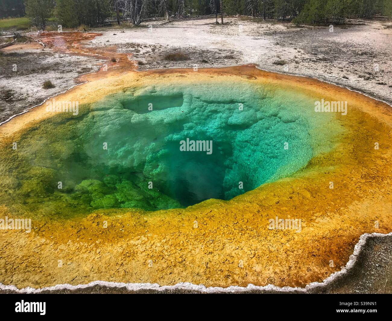 Morning Glory hot spring in Yellowstone National Park Stock Photo