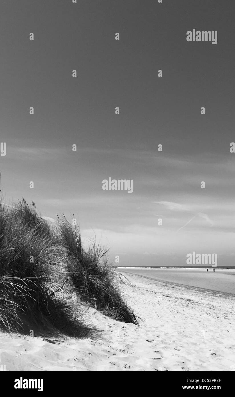 Holkham Beach, North Norfolk, UK - Smartphone Captured Stock Image