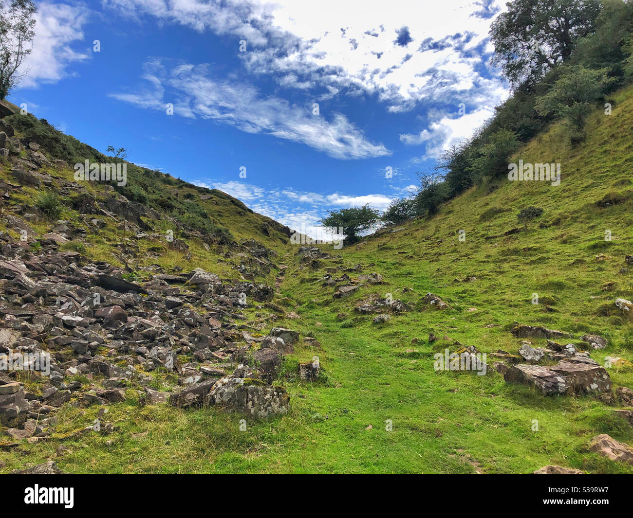 Lone tree at the top of a valley below Ysgyryd Fawr, Abergavenny, Brecon Beacons, Wales. - Smartphone Captured Stock Image