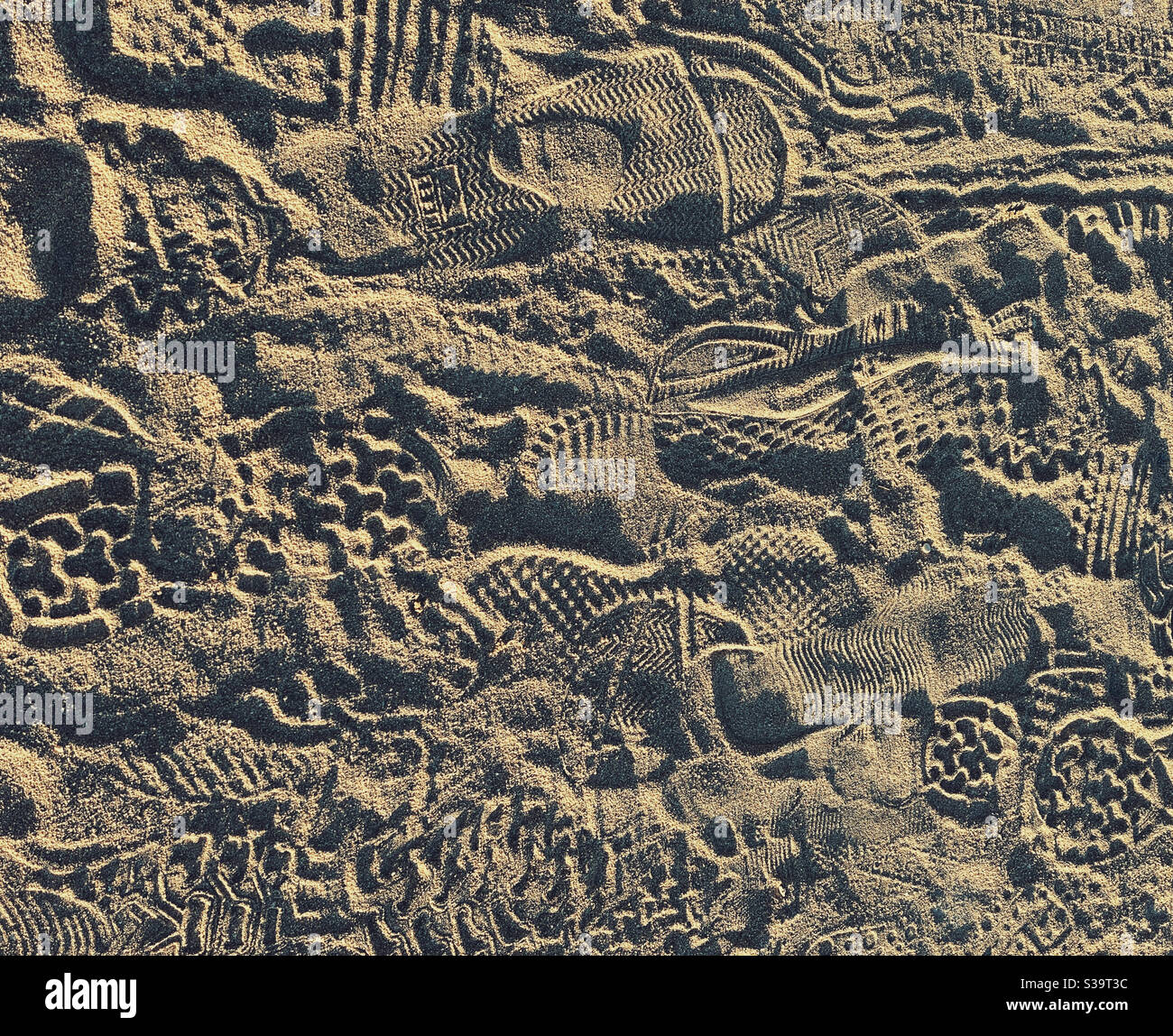 Sneaker and running shoe prints in sand on a jogging path along a beach Stock Photo