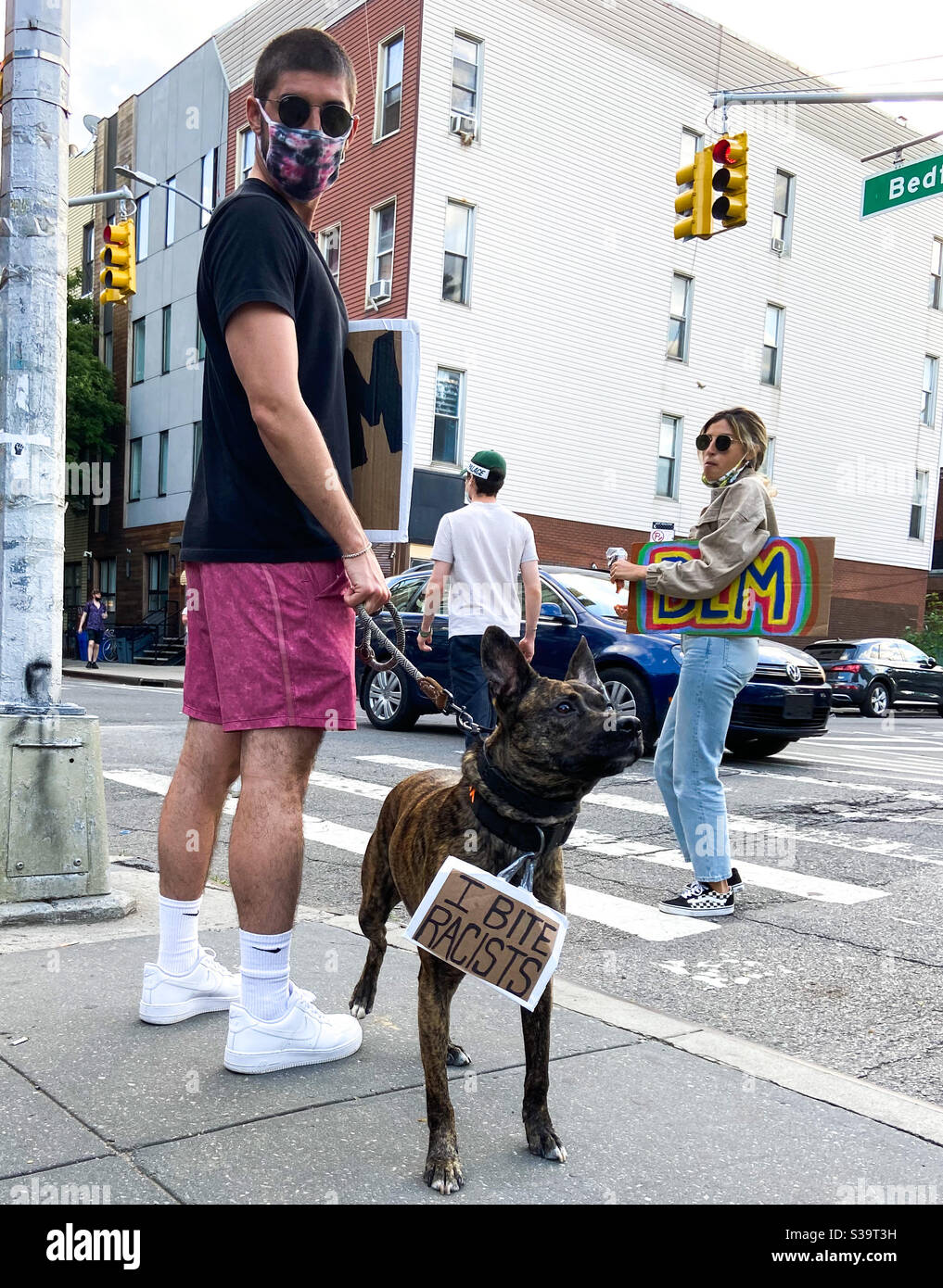 A man wearing a face mask walks his dog with a sign around its neck that reads, “I bite racists” in Williamsburg, New York on June 7, 2020. - Smartphone Captured Stock Image
