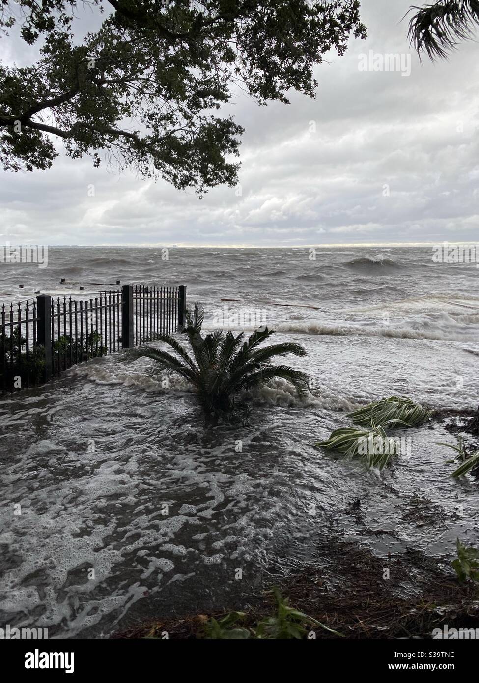Flooding water as Hurricane Sally moves across the Choctawhatchee Bay Florida Stock Photo