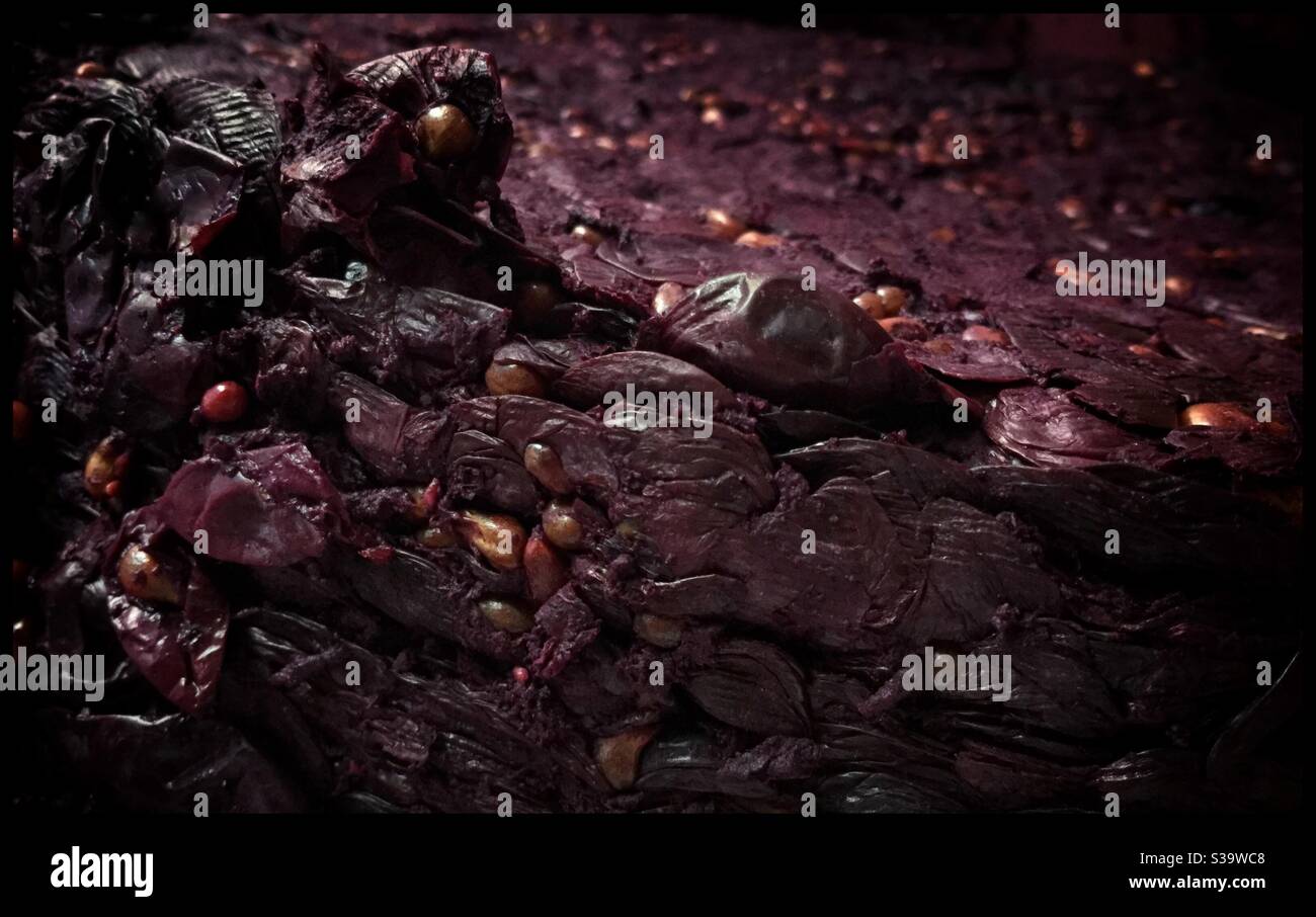 Dried skins after pressing Syrah wine with a basket press, Catalonia, Spain. - Smartphone Captured Stock Image