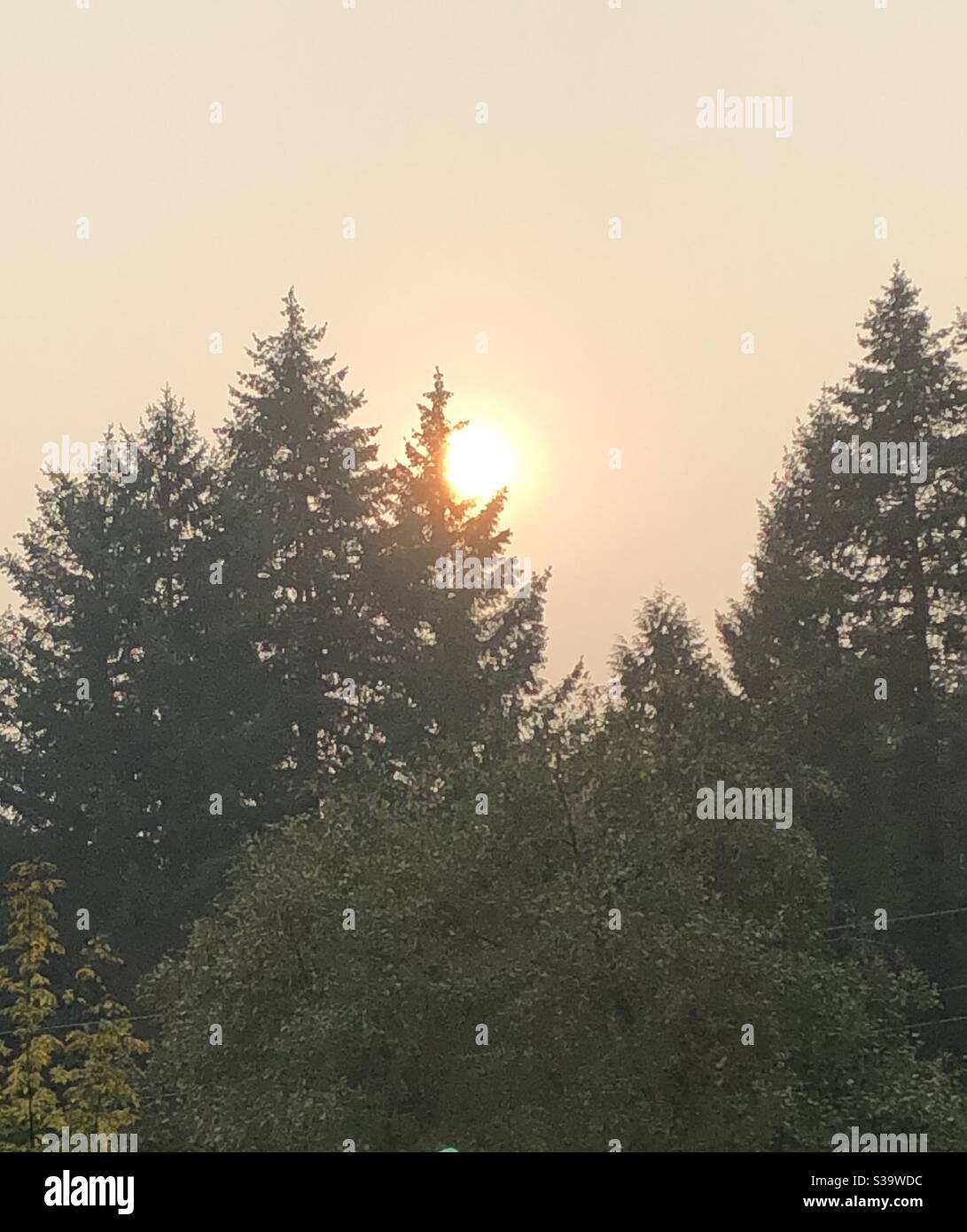Washington State covered in wildfire smoke blocking the sun - September 2020 Stock Photo