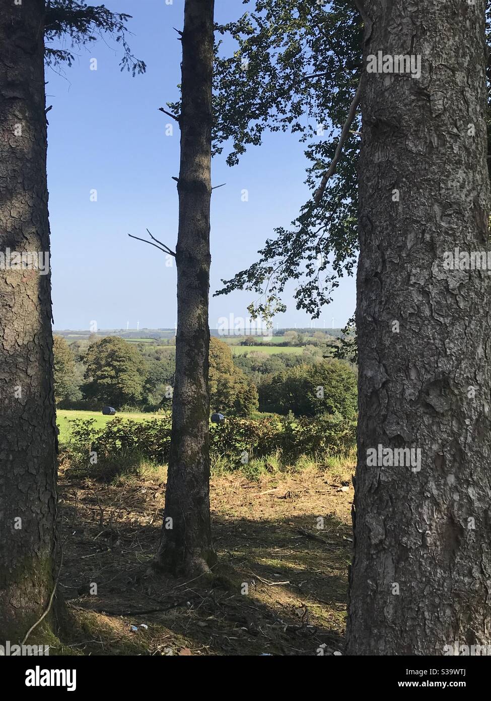 Rhydargaeau, Carmarthen, Wales. Morning of 17 September 2020. - Smartphone Captured Stock Image