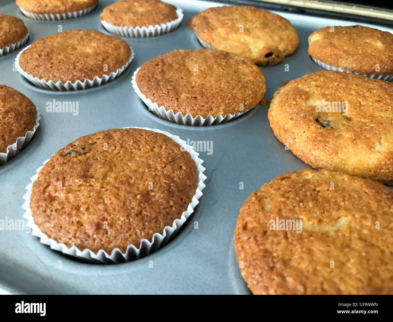 Bun Cases High Resolution Stock Photography and Images Alamy