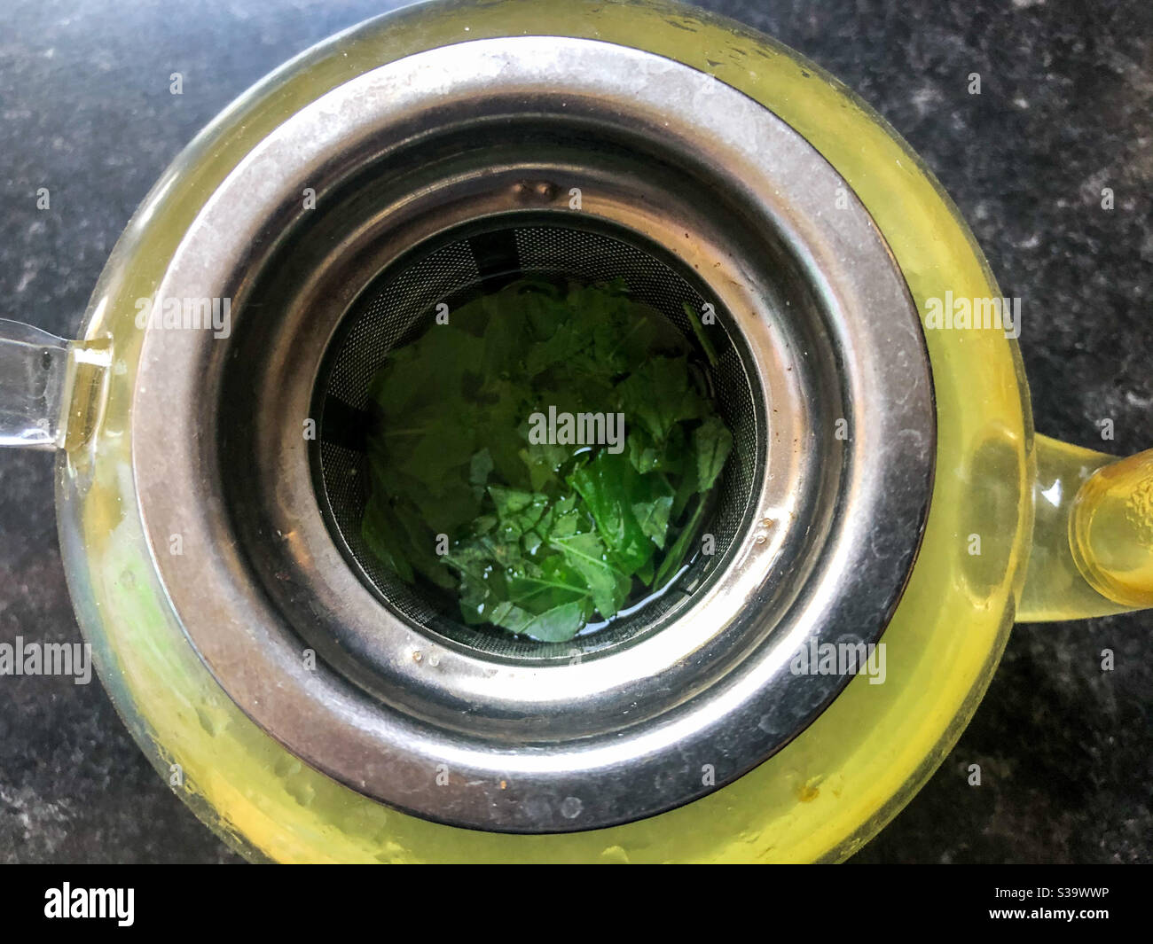 Fresh mint infusing in a glass teapot to make mint tea. - Smartphone Captured Stock Image