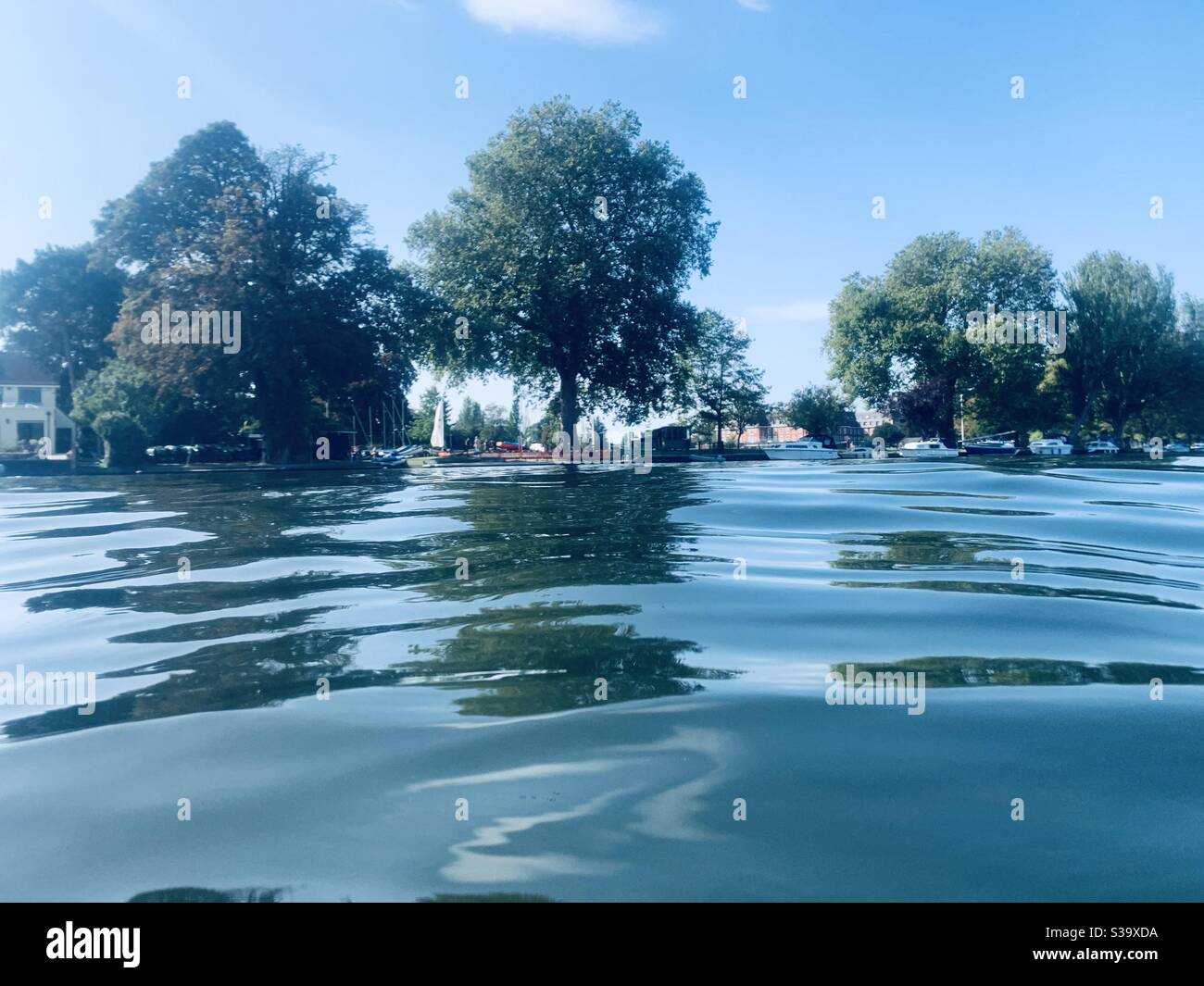 Artistic reflection of trees on river at Kingston upon Thames - Smartphone Captured Stock Image Artistic reflection of trees on river at Kingston upon Thames - Smartphone Captured Stock Image