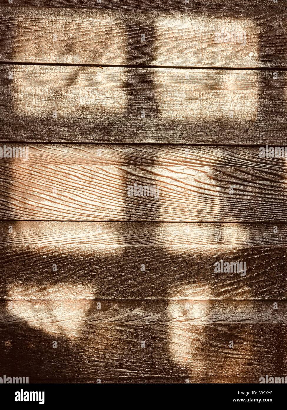 the light on the brown - Smartphone Captured Stock Image