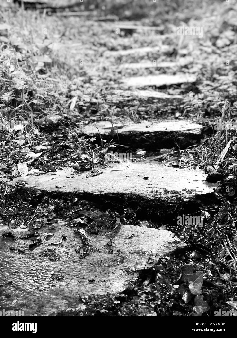 who knows where these steps go - Smartphone Captured Stock Image