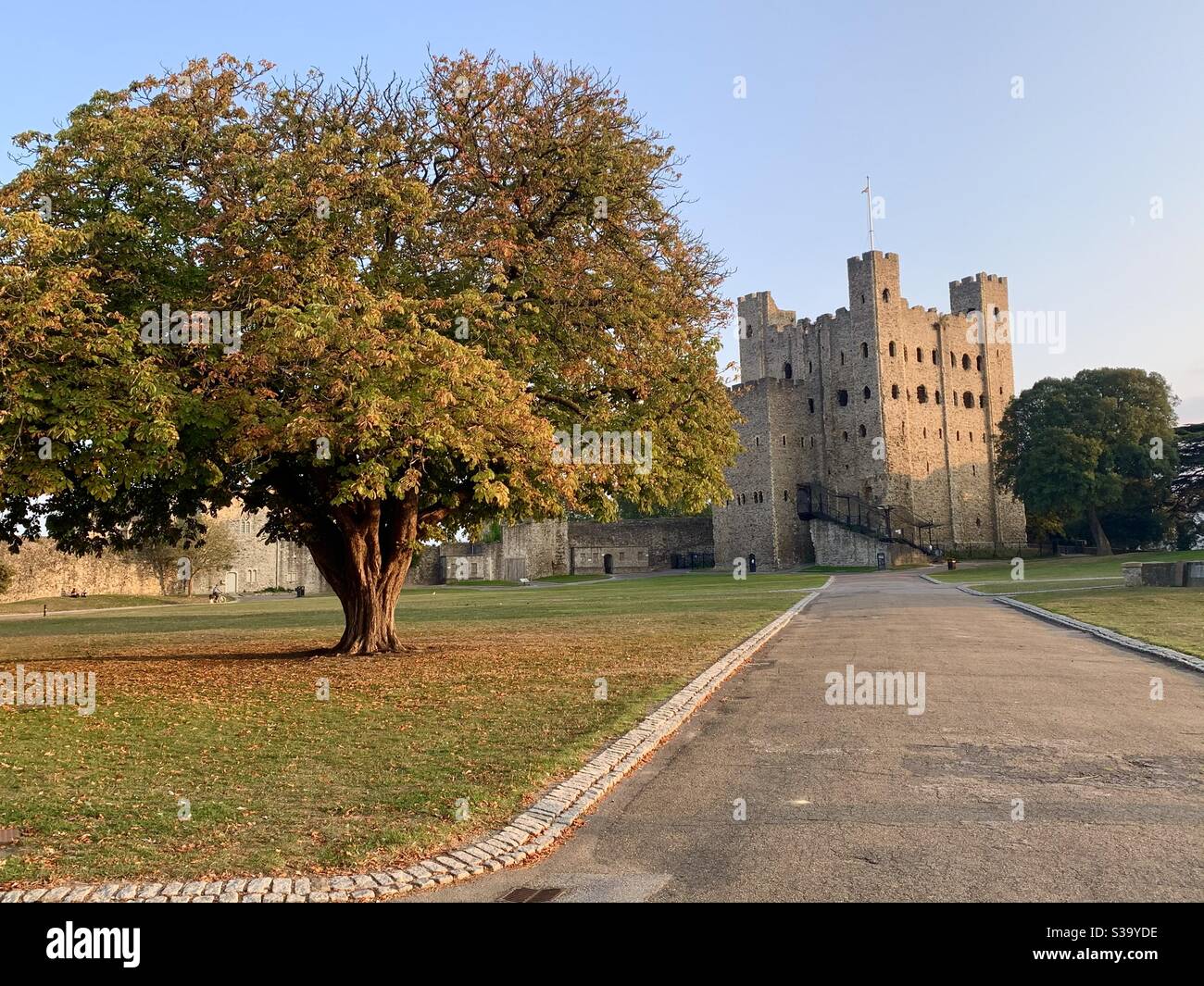 Rochester caste with horse chestnut tree - Smartphone Captured Stock Image