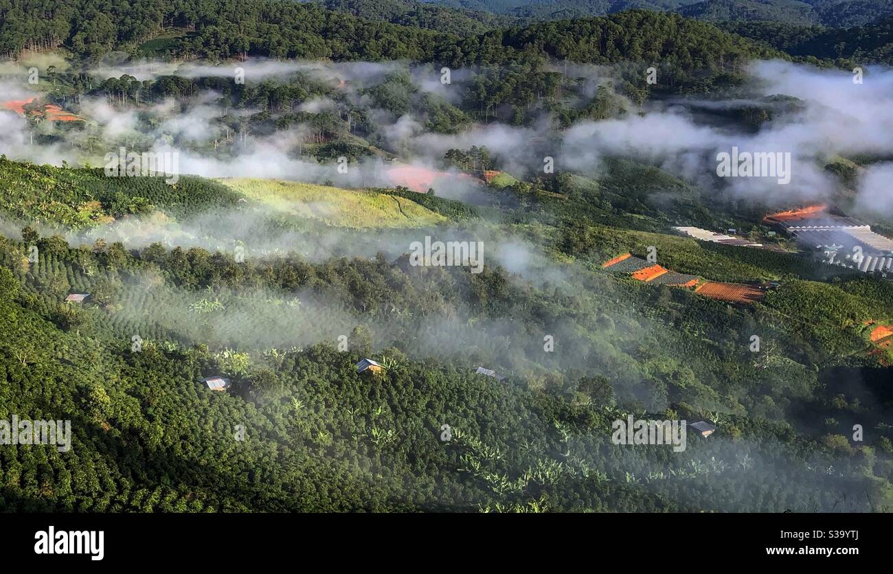 an early fall - Smartphone Captured Stock Image