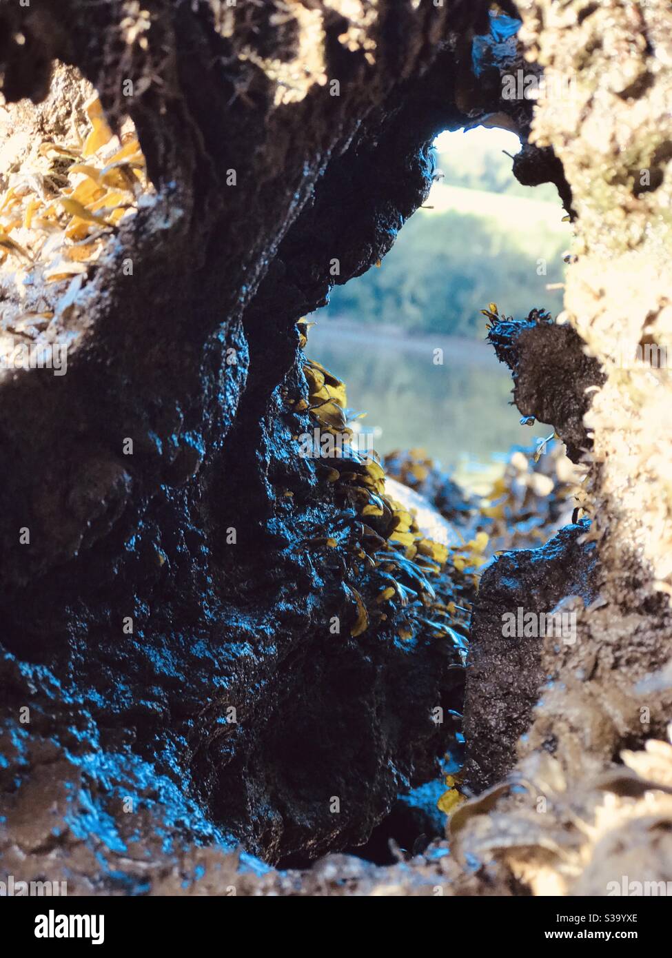 through to the water - Smartphone Captured Stock Image