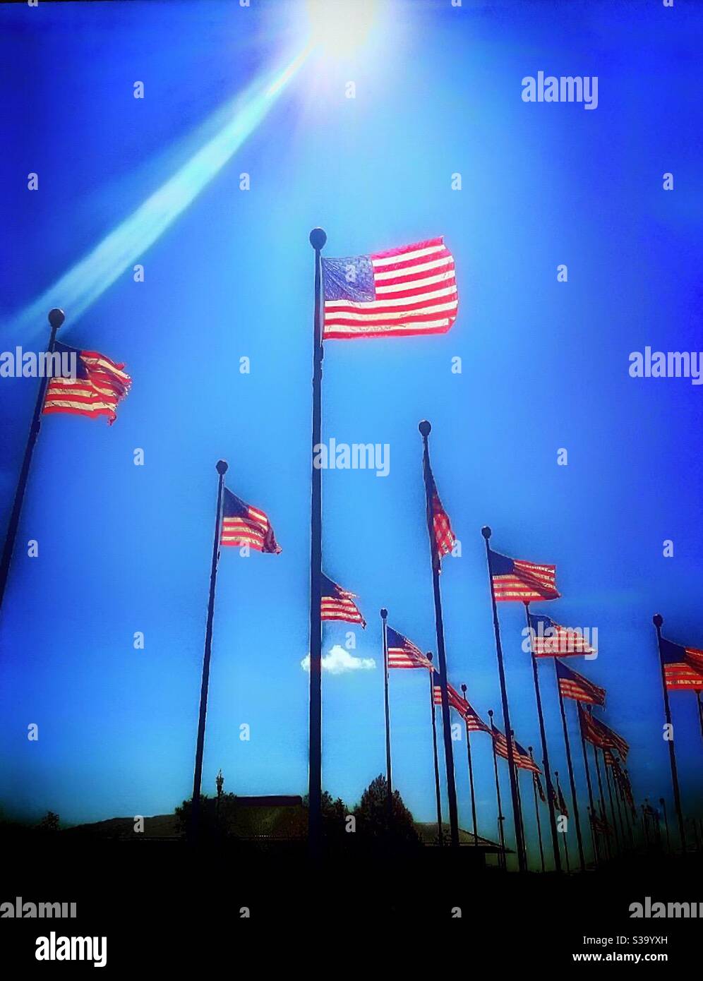 American flags. - Smartphone Captured Stock Image