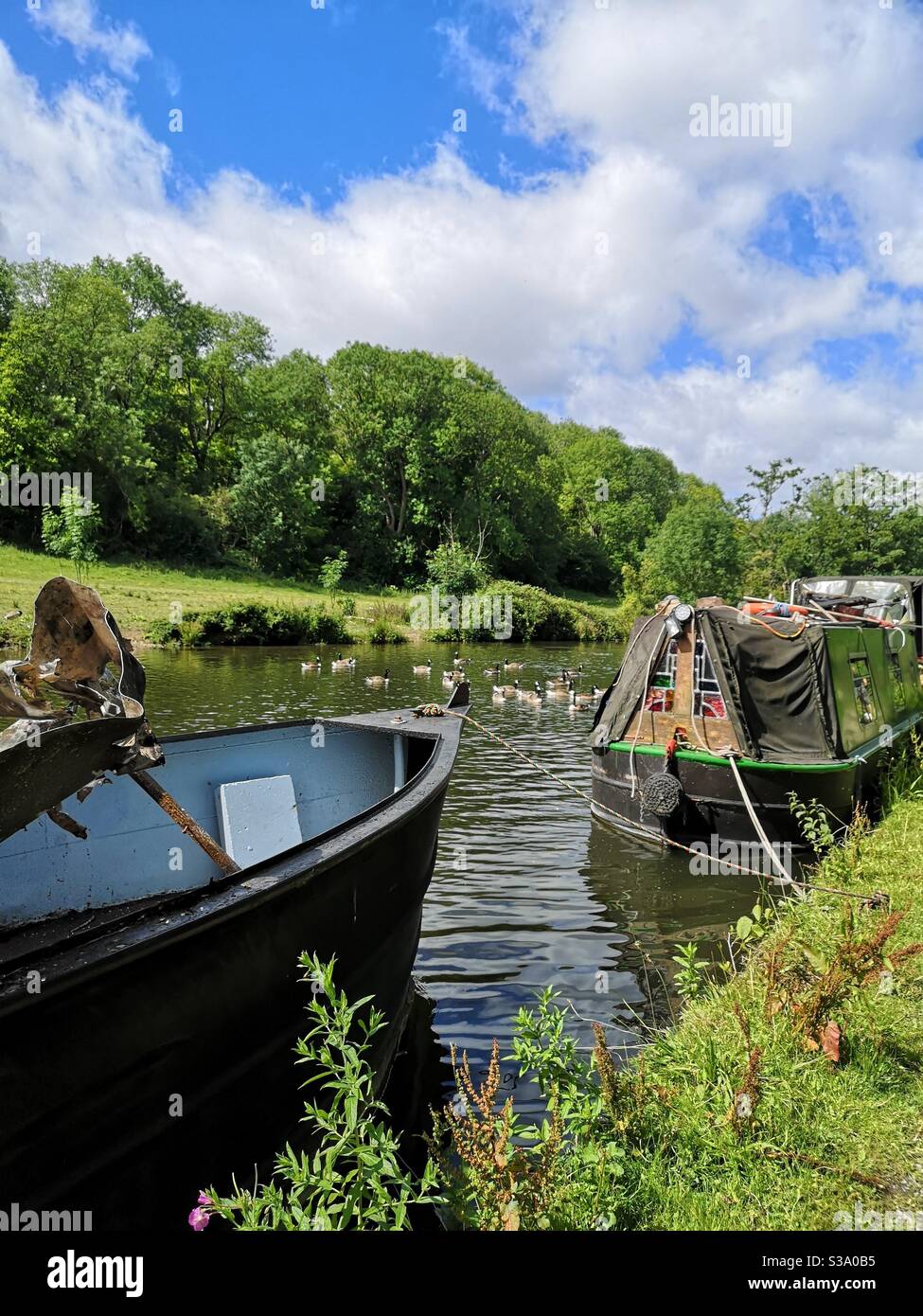 Boats on river Wye with group of ducks Stock Photo Alamy