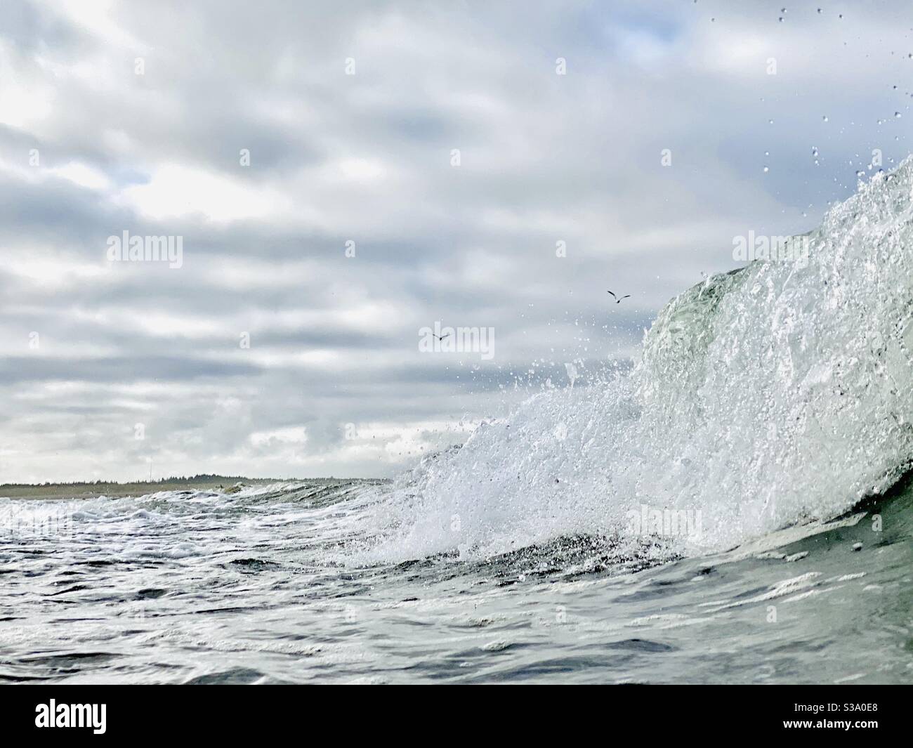 Ocean surf and seagulls at Long Beach, Washington - Smartphone Captured Stock Image