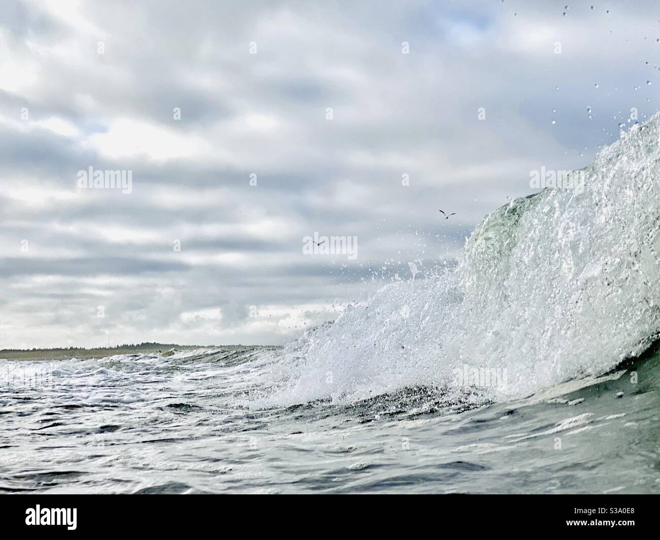 Ocean surf and seagulls at Long Beach, Washington Stock Photo