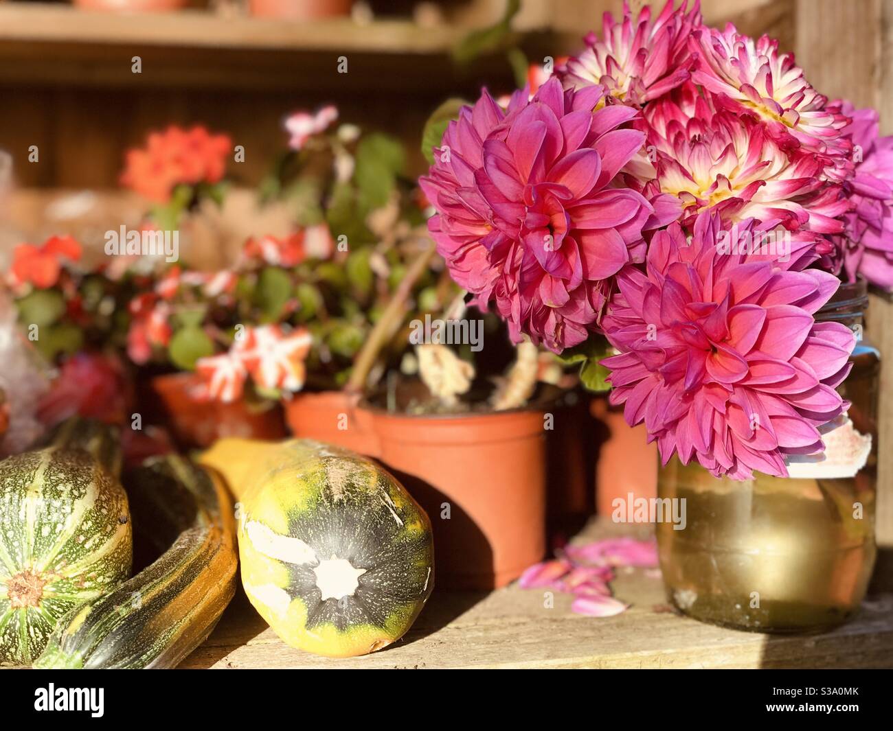local produce for sale - Smartphone Captured Stock Image