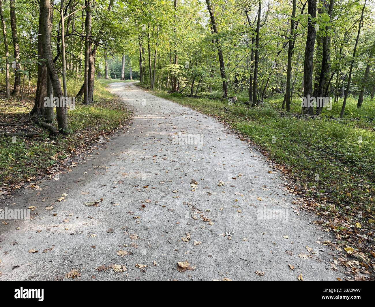 Unpaved trail winds through the Cook County Forest Preserve on an early fall afternoon Stock Photo