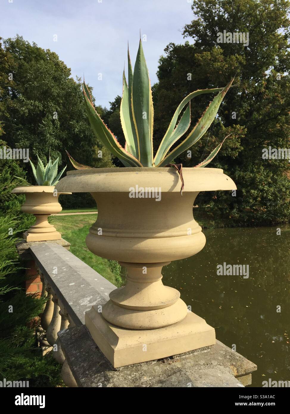 Agave americana in classic garden planters Stock Photo