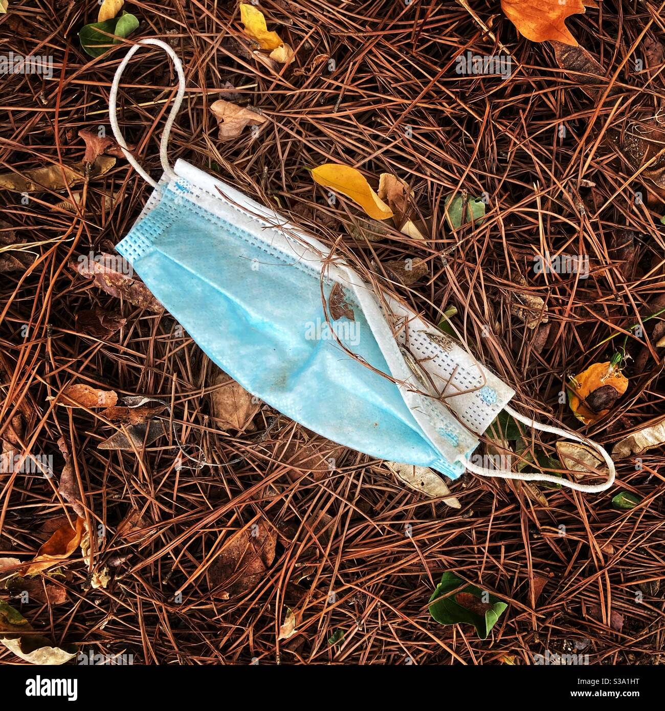 An used and potentially contaminated protection mask for coronavirus covid-19 lays down on a forest ground Stock Photo