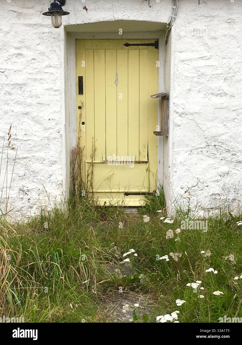 Small yellow cottage door - Smartphone Captured Stock Image