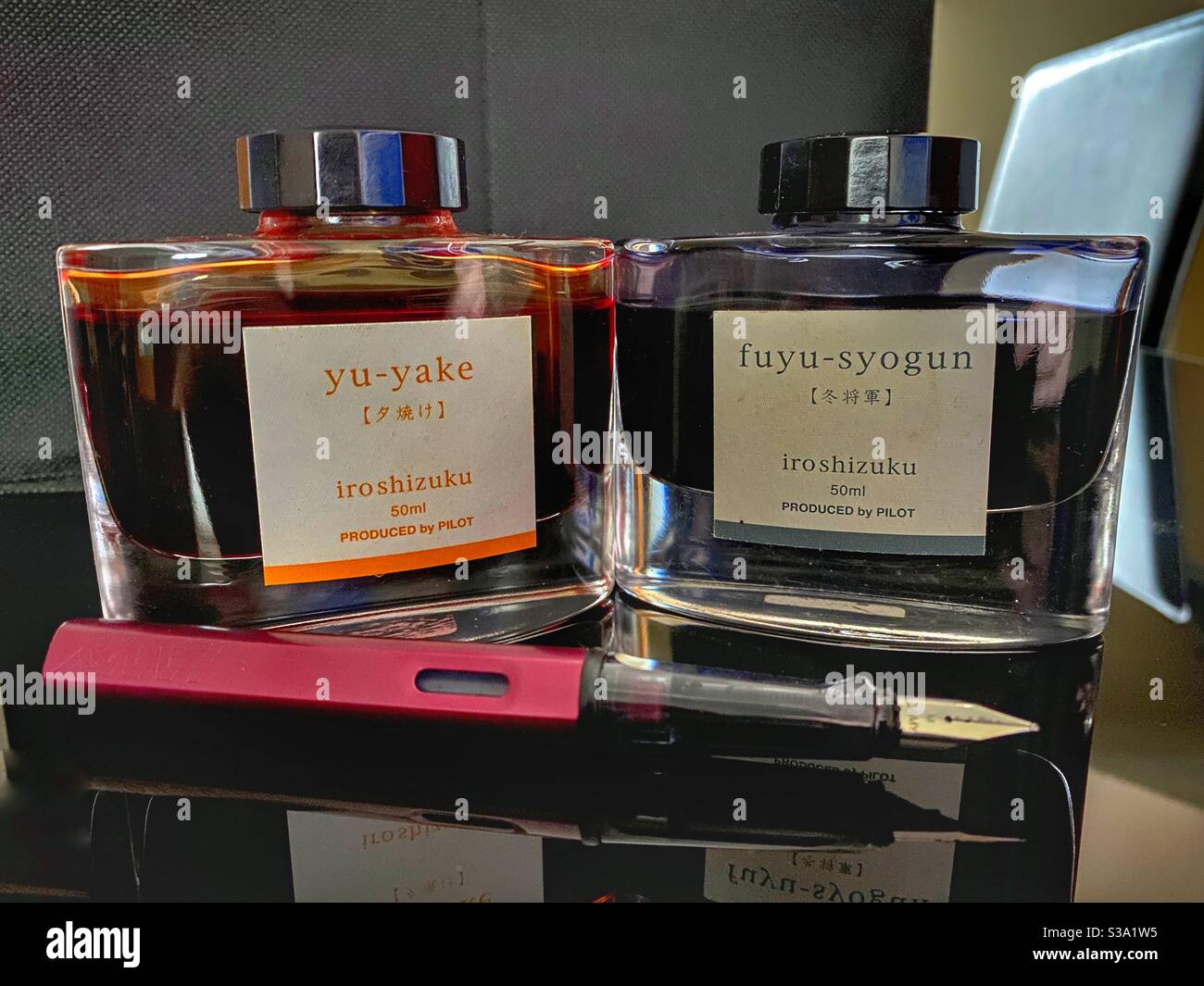 Fountain Pen and Ink - Smartphone Captured Stock Image