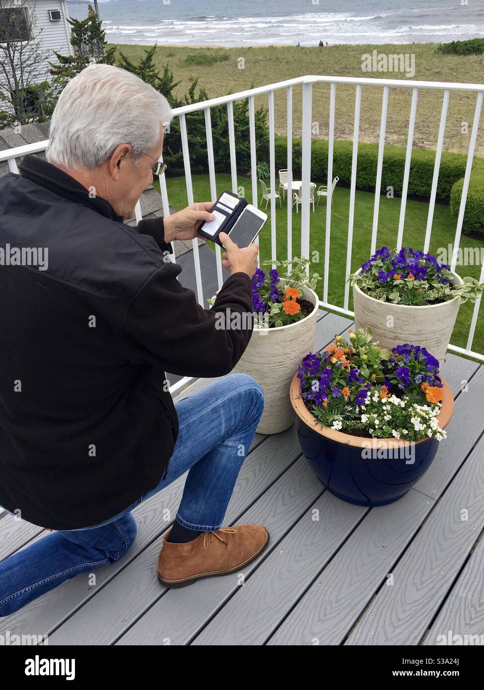 Senior man taking a photo of potted flowers with his iPhone. - Smartphone Captured Stock Image