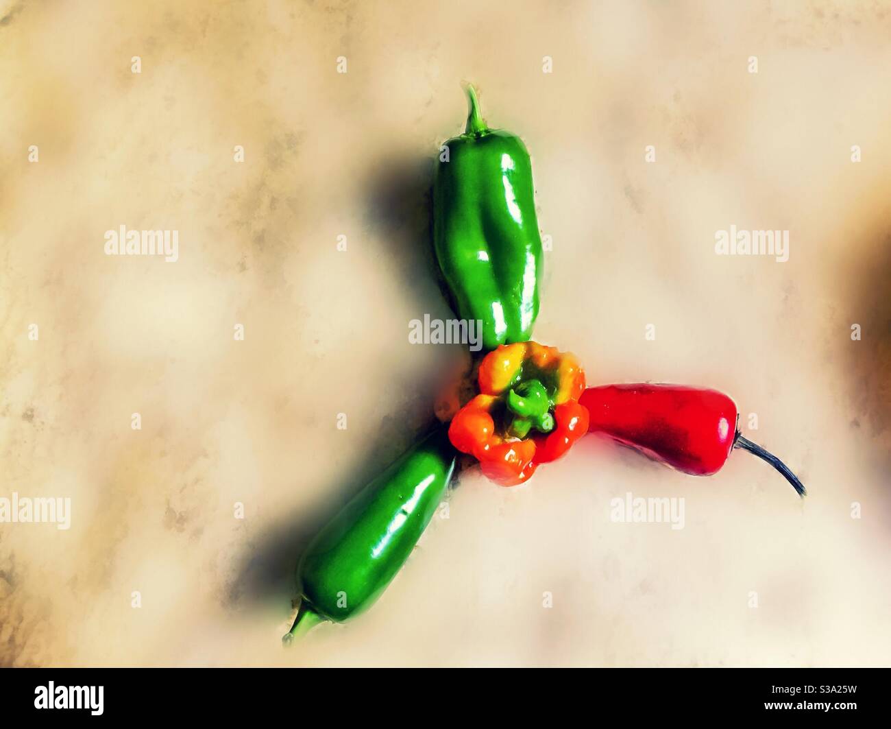 Sweet (pimento) at the top, to very very hot at the centre (Trinidad Scorpion), a design in fresh peppers on a granite counter. Soft backdrop - Smartphone Captured Stock Image
