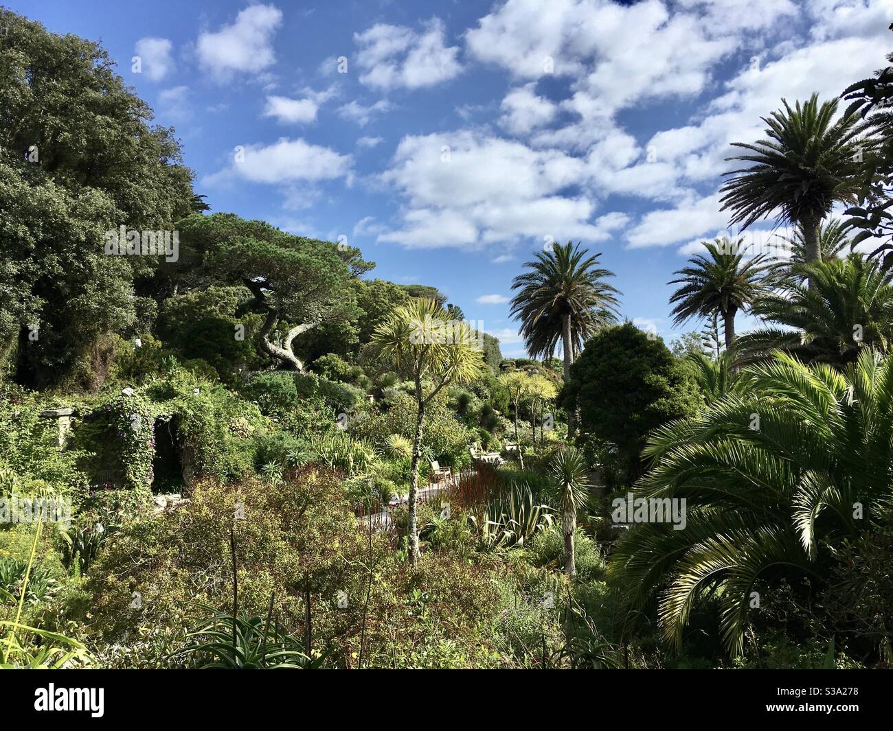 Abbey Gardens Tresco a sub tropical paradise - Smartphone Captured Stock Image