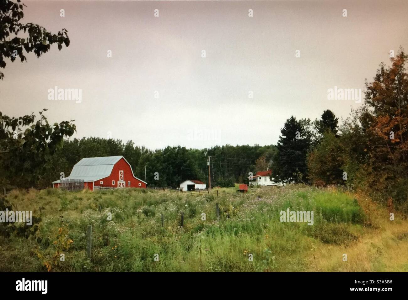 Travelling Alberta, Alberta bound, red barn, in the woods, farm yard, house, residence, hidden, privacy, solitude - Smartphone Captured Stock Image